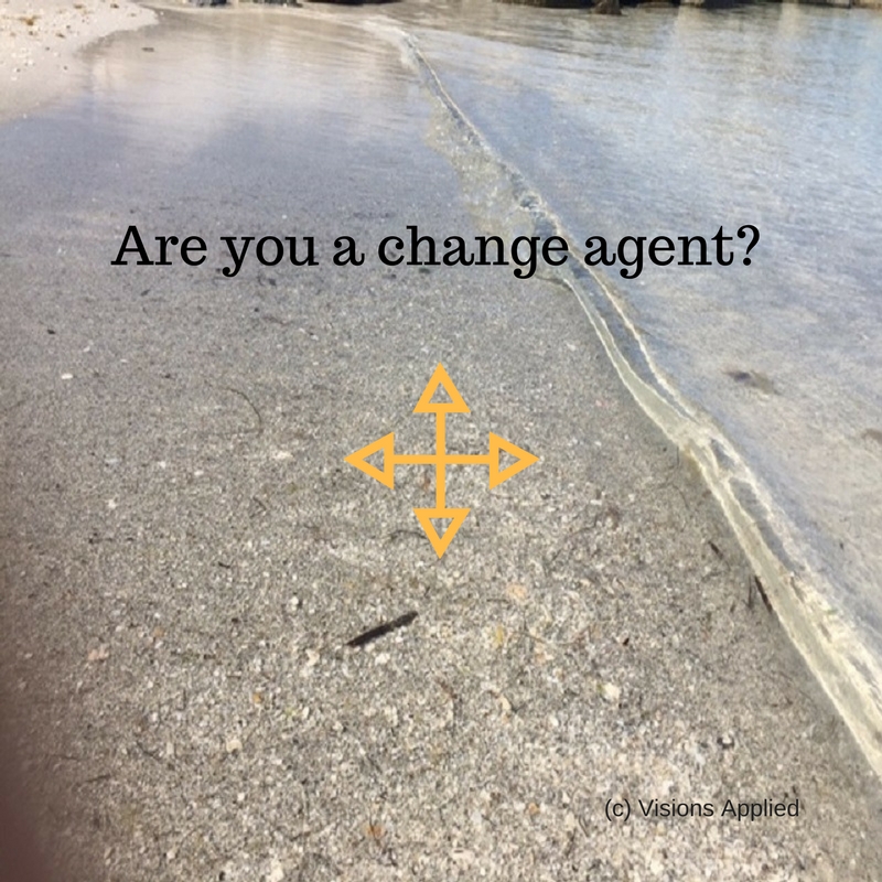 5 Questions Change Agents Ask Themselves