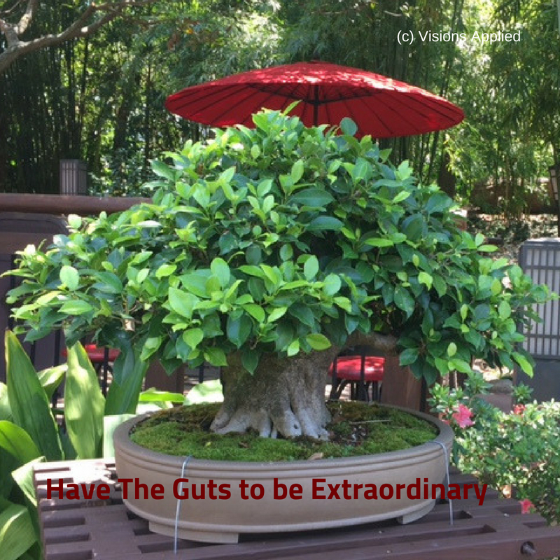 Have The Guts to be Extraordinary